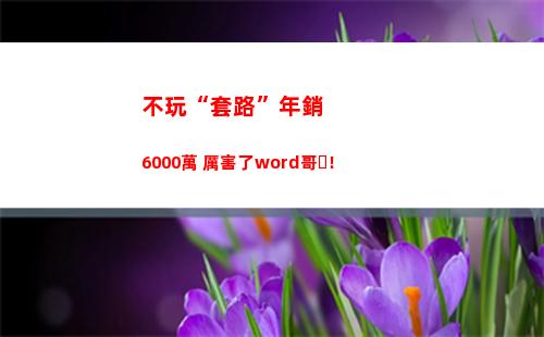 不玩“套路”年銷6000萬 厲害了word哥！